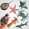 Medium-Size Ocean Animal Model Set: Realistic Shark, Crab, Starfish, Manta Ray, Devil Ray, Mantis Shrimp