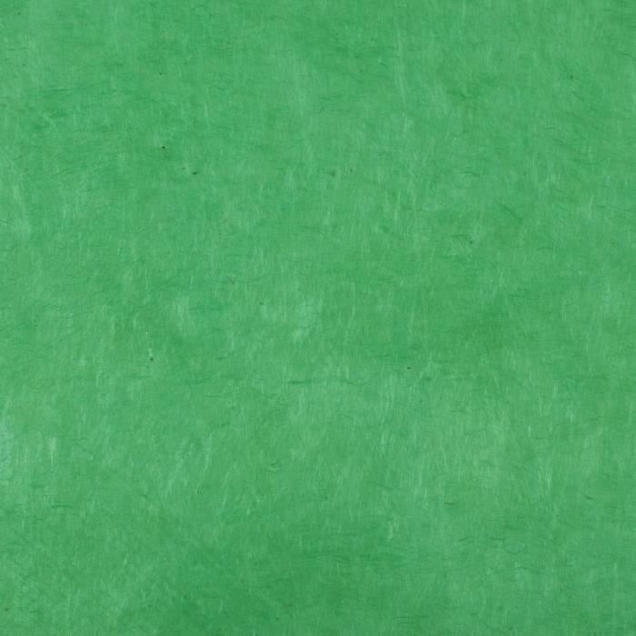 Papier népalais lokta vert chlorophyle 50 x 70 cm Vert