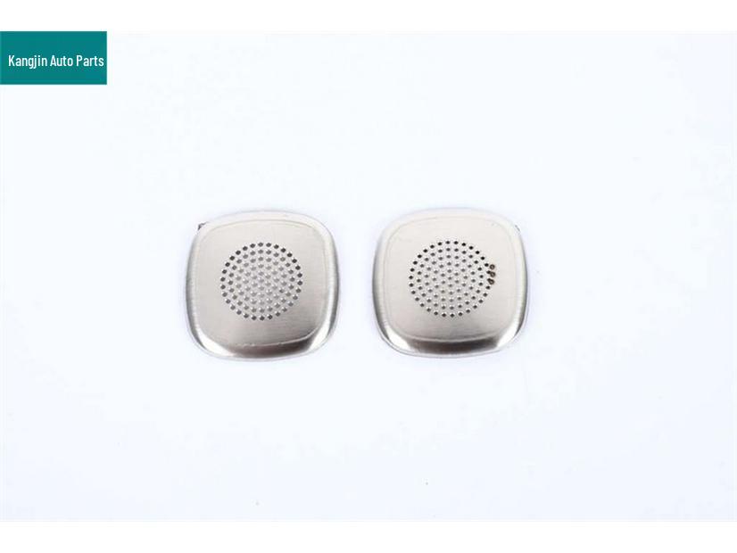 Dustproof Speaker Covers for 2025 Aion V Tyrannosaurus Rex Front Door Panels - Silver Stainless Steel Interior Modifications