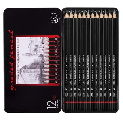 Artist Pencil for Sketching Drawing Art Pack of 12 with Metal Case B 2B 3B 4B 5B 6B 7B 8B HB H 2H F
