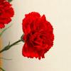 5pcs High Quality 5 Heads Artificial Flowers Silk Red Wedding Arch Decor Carnation Small Carnation