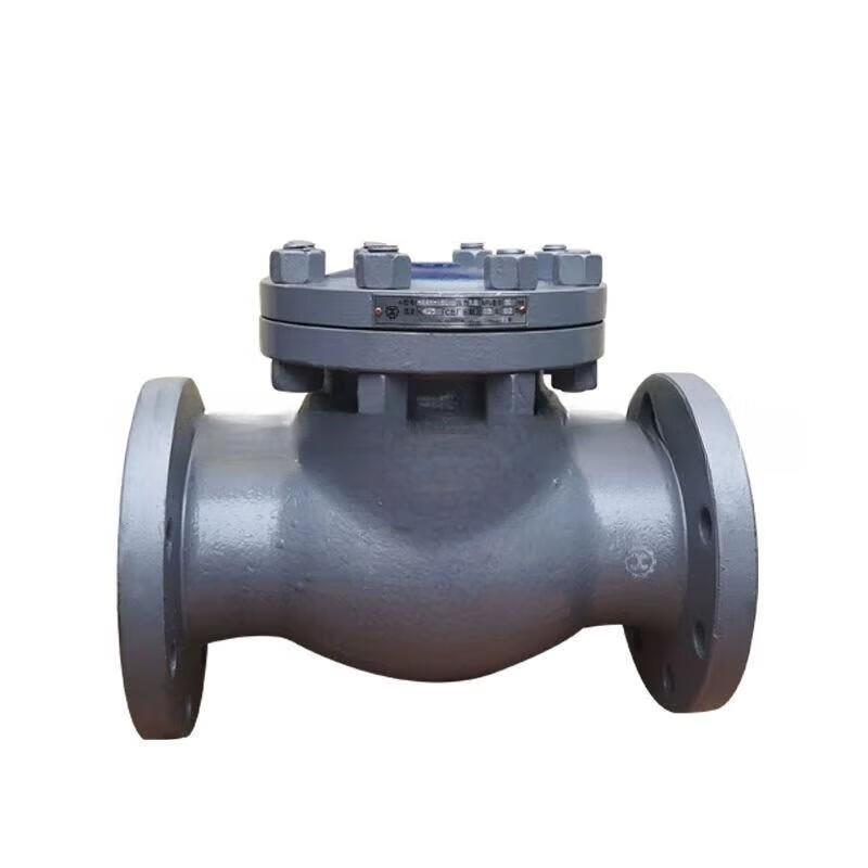 Shangtie H44H-16P Stainless Steel Flanged Check Valve