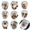 Langlebige Toilettendeckel-Aufkleber 3D Cartoon Katze Sticker Wasserdicht Süßes Tier Abnehmbar PVC Aufkleber Sticker Spaß Sitz Selbstklebend Badezimmer Wand