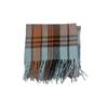 Plaid tassel scarf women's new autumn and winter versatile senior sense students keep warm simple and comfortable imitation cashmere scarf