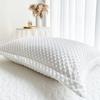 Soft Pillowcase Warm Pillow Cover Rectangle Cushion Cover 50x75cm White Pillow Case capa de almofada 2pcs Velvet Pillowslip