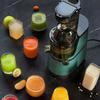 Stainless Steel Juicer with Juice and Pulp Separation - Home Automatic, Large and Small Caliber, Gift Option