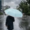 UV Protection Folding Umbrella Manual Sunshade Umbrella Windproof Sun Rain Umbrella  Outdoor Use