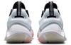 Nike Giannis Immortality 'Force Field White Silver' DH4470-100
