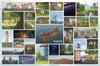 Puzzle a hlavolamy – Puzzle