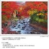 Yanoman [Made In Japan] 500-Piece Jigsaw Puzzle: The Colorful Katsuragawa River At Shuzenji (Shizuoka) (38x53cm) 05-1098, Includes Glue, Spatula,