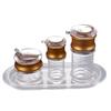 Food-Grade Acrylic Seasoning Dispenser Set
