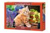 500-piece Puzzle. Ginger Kitten.