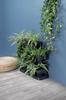 Standing Vertical Garden - Cascade Garden - Anthracite - Pp-Io2W600S