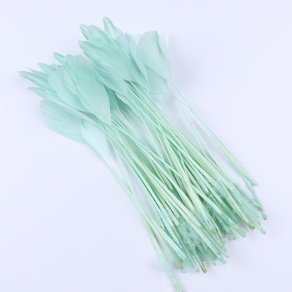 50 Stück/Beutel Lange Gänsefedern Gerupfte Coque Putzfedern Fascinators Hüte Verzierungen Farbige Handwerkszubehör