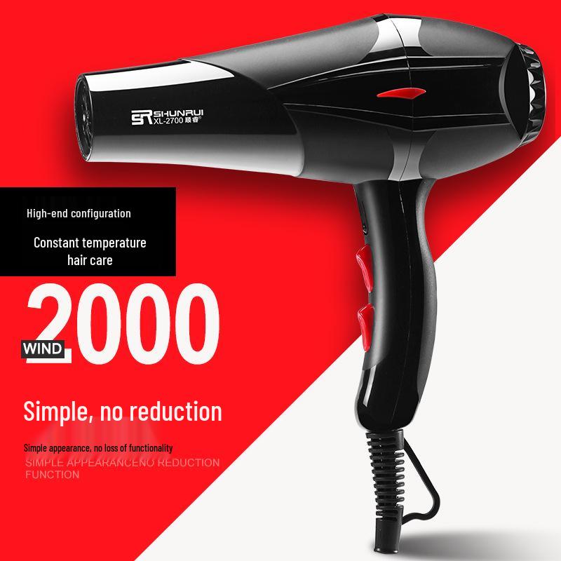 High-Power Salon & Home Hair Dryer with Concentrator & Aromatherapy Feature - Perfect Gift for Stylists