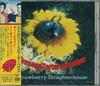 CD STRAWBERRY SLAUGHTERHOUSE - TEENAGE TORTURE TOCP8780 EMI 1996 Japan Rock Used