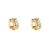 Luxury Zircon Wheat Ear Studs – Elegant European & American Inspired Earrings