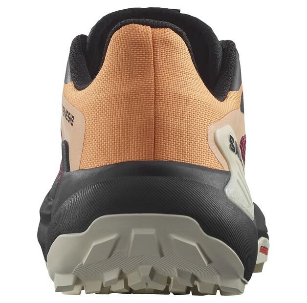 Salomon Genesis кроссовки трейловые