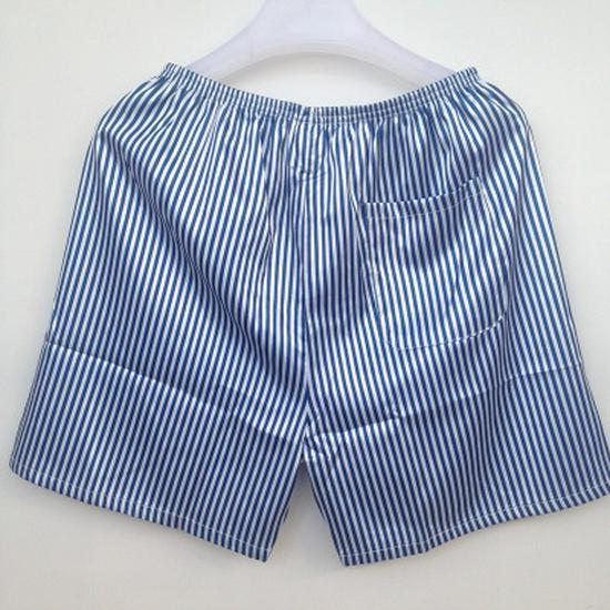 Faux Silk Shorts