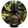 Set of Organic Essential Oils for Humidifier 50ml - Christmas