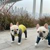 Warm Fleece-Lined Four-Legged Dog Sweater Small To Medium Breeds Winter Coat Pet Clothing