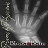 Blood and Bone Paperback Book 9780877456384