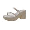 Small Thick Heel Slippers Women's 2025 New Summer Transparent Belt Outer Wear Fashion Temperament with Skirt Beach Sandals