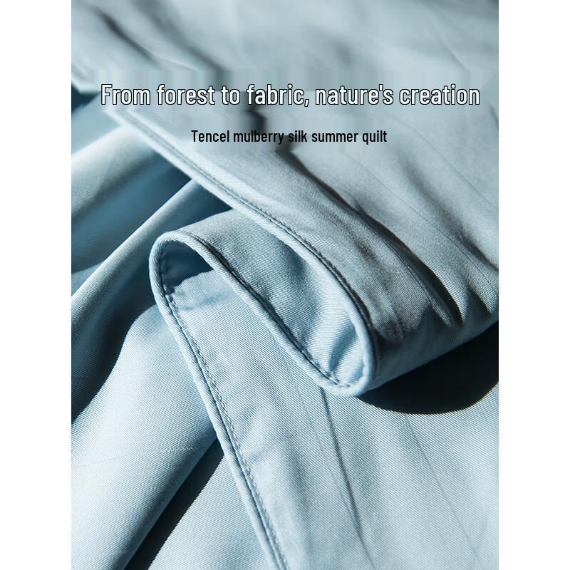 SILKUEEN Zhi Xia All-Season Tencel Blend Silk Quilt