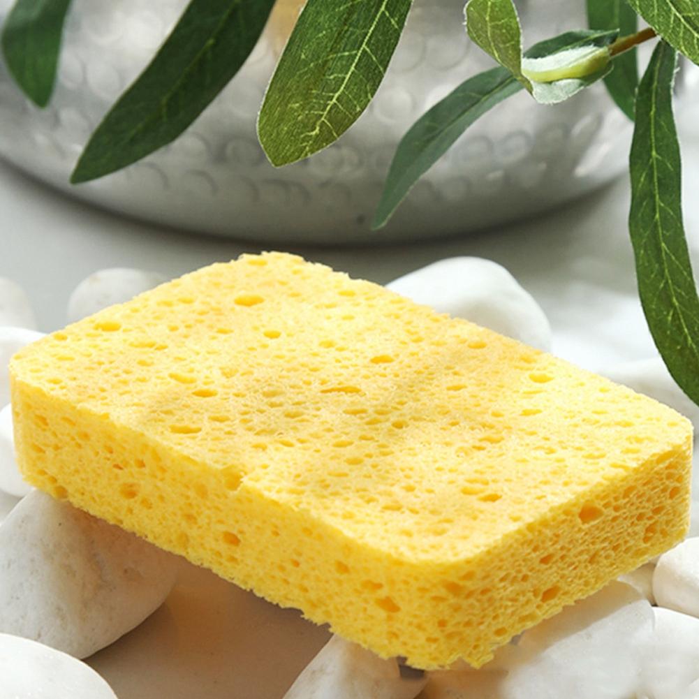 Sponges Kitchen Sponges for Dishes Comprssed Cellulose Sponges for Kitchen,12 Pc Sponges Kitchen Sponges for Dishes Comprssed Cellulose Sponges for Kitchen,12 Pc