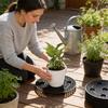 Nursery Seedling Tray With Thickened Drainage Base For Flower Pot Cultivation