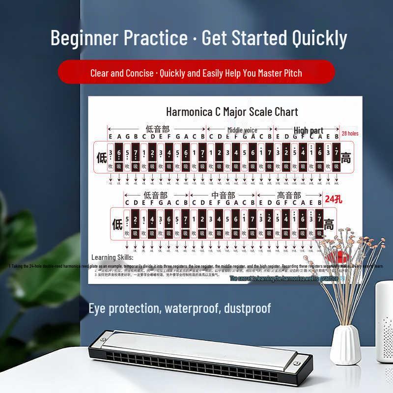 Harmonica Beginner Practice Sticker: C Key Scale Chart for 24/28 Hole Models, Child & Adult Use, Hole Positions & Blowing Symbols