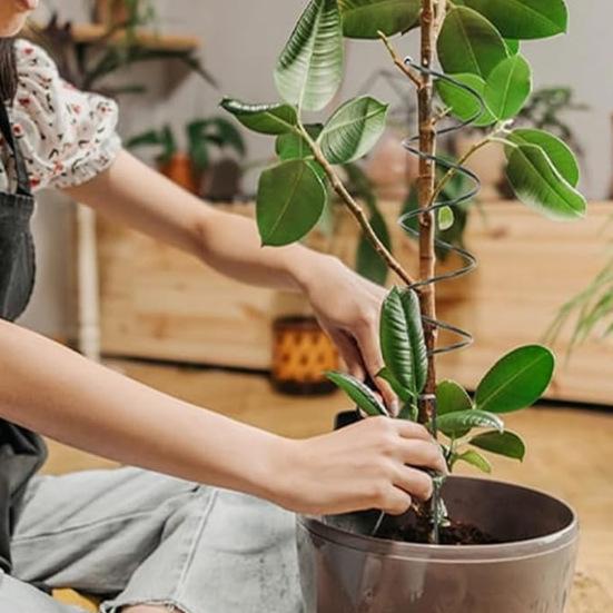 5 ks Tomato Twist Stake Větruodolná podpěra rostlin Spirálové klece na rajčata Stohovací rám pro šplhací rostliny pro rostliny v květináčích Rajče Růže Réva
