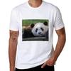 Giant Panda Xiao Qi Ji At The National Zoo Tshirt Art Pattern Printed Casual Top Tshirt
