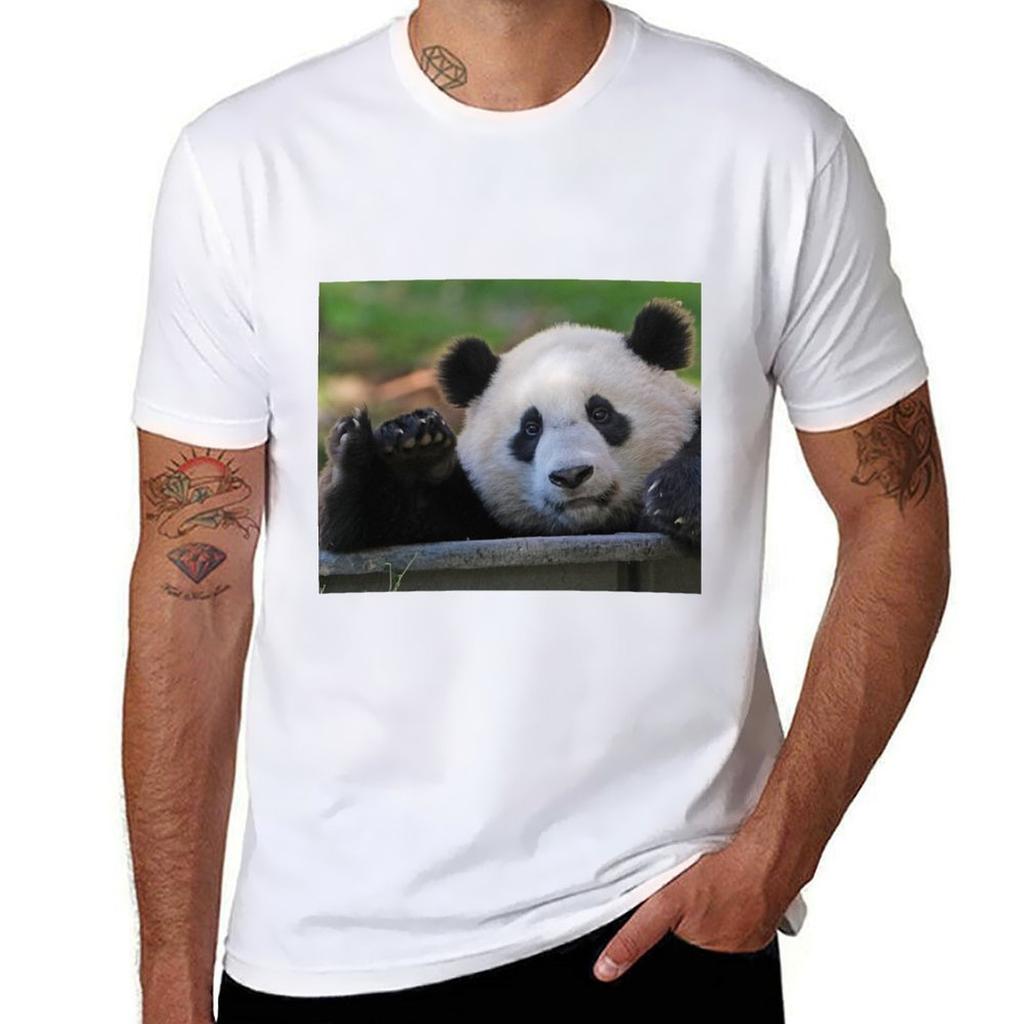 Giant Panda Xiao Qi Ji At The National Zoo Tshirt Art Pattern Printed Casual Top Tshirt