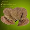 Fish Cleaning Acid Effect Fish Treatment Terminalia Leaves Aquarium Tank Decor Terminalia Leaves