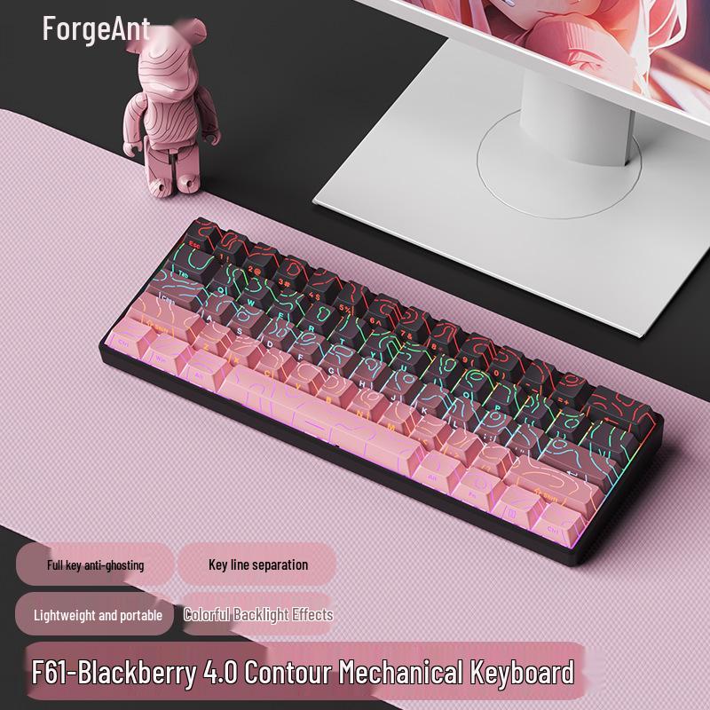 61-key Wired Mechanical Keyboard, Blackberry Gradient Design for Gaming & Office, High Aesthetic Value for Girls
