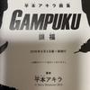 [USED] Akira Hiramoto Art Collection GAMPUKU Eye-pleasing