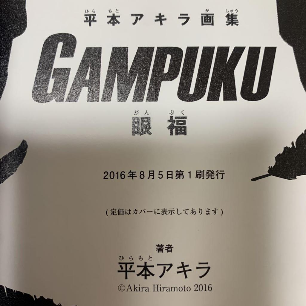[USED] Akira Hiramoto Art Collection GAMPUKU Eye-pleasing