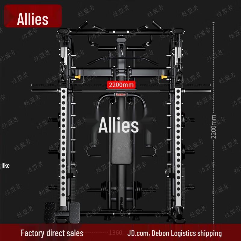 Ally Home Gym Smith Machine Squat Rack