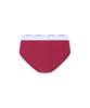 [Recording House] HEY B!TCH BRIEFS [PINK] [Shipped from Korea] 100% Authentic
