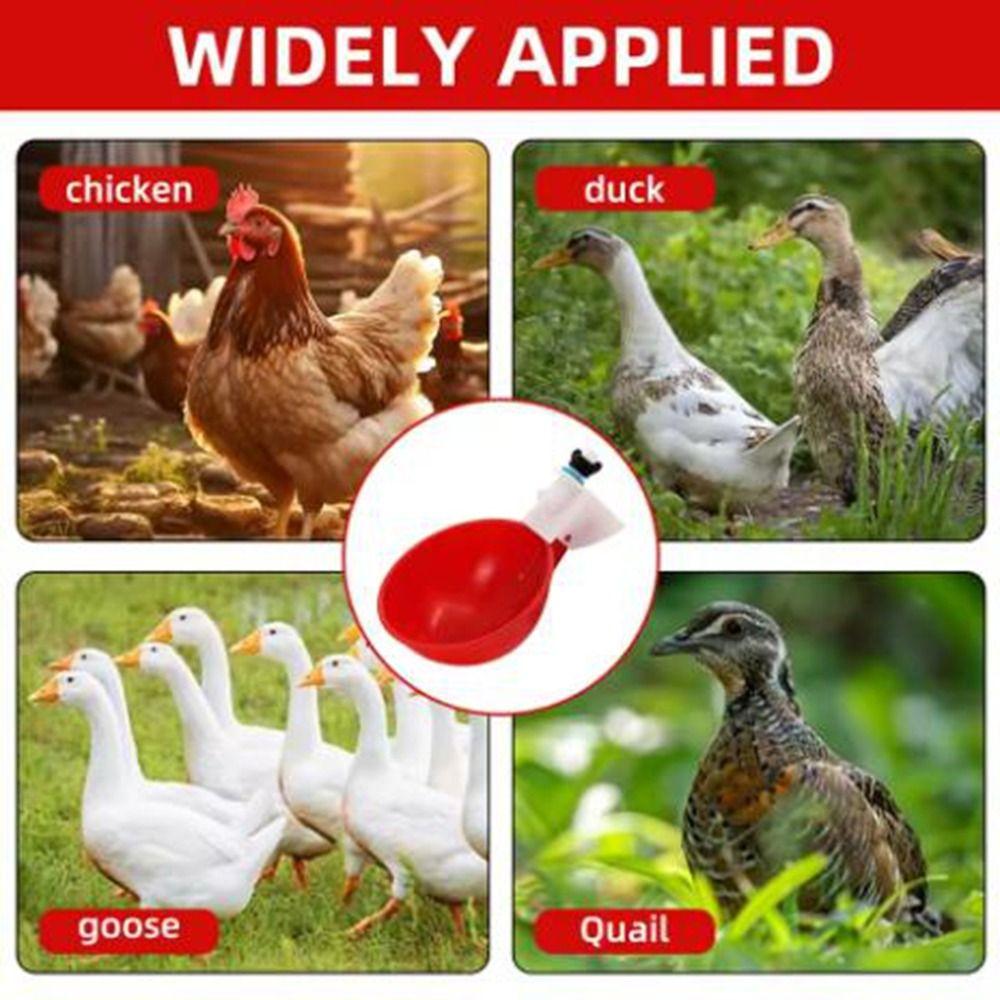 8Pcs Hanging Poultry Drinker Plastic Chicken Water Feeder Practical Bird Water Cups  Bird Coop