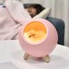 1Pc Cute Pet House Night Light Usb Charging Bedside Desktop Ambient Light Children's Bedroom Led Bluetooth Speaker Desk Lamp