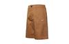 Nike Casual Shorts Men's Malt Brown DV9045-270