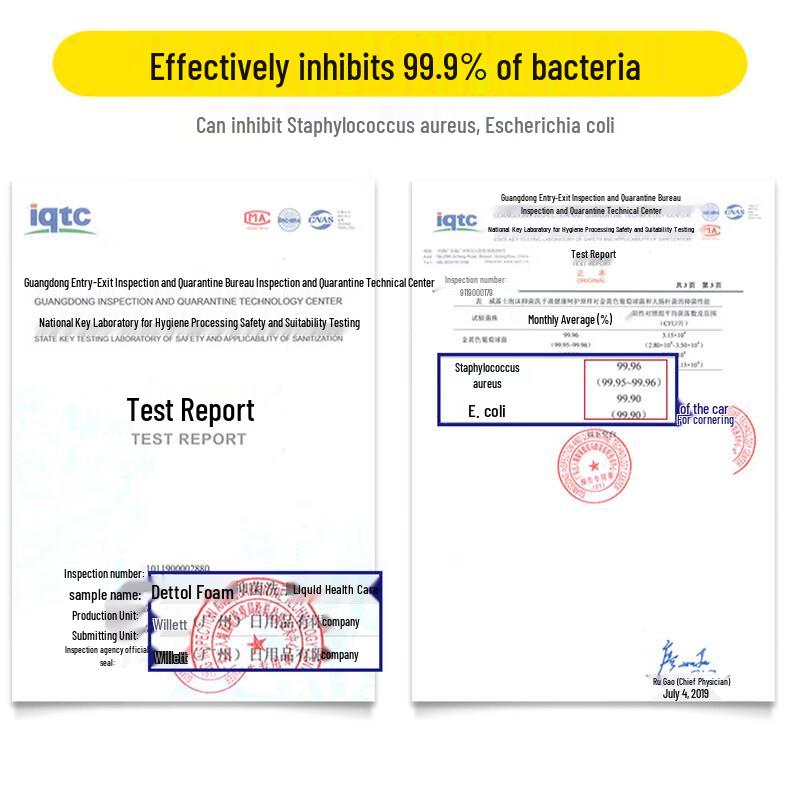 Walch Family Antibacterial Hand Wash