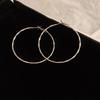 Silver Needle Autumn and Winter Metal Earrings Earrings Niche Fashion Cold Wind Earrings Versatile Light Luxury Premium Earrings