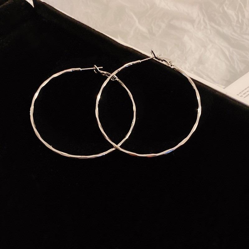Silver Needle Autumn and Winter Metal Earrings Earrings Niche Fashion Cold Wind Earrings Versatile Light Luxury Premium Earrings