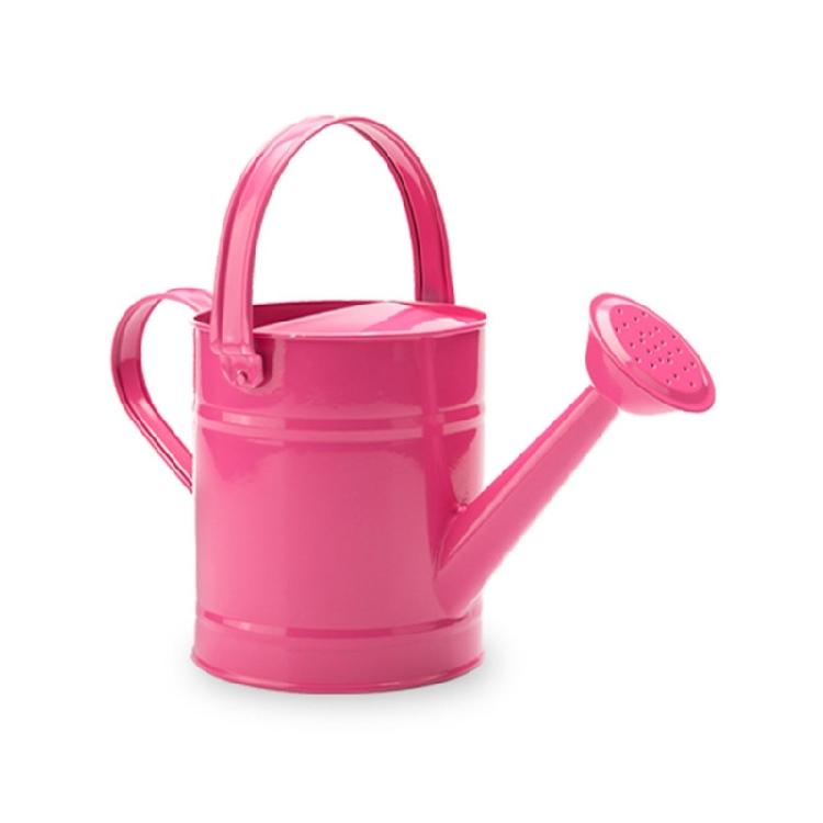 

1.5L Watering Can for Indoor Plant Long Spout Watering Can Indoor Watering Can for House Plant Flowers Succulents рожевий
