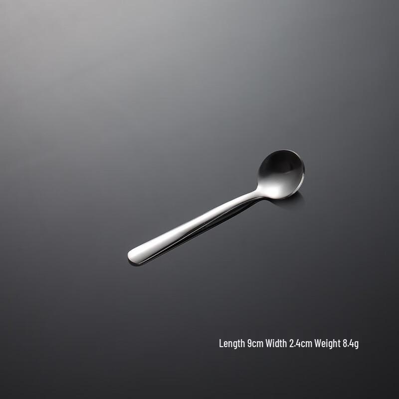 Qianxing 304 Stainless Steel Condiment Spoons (25-Pack)