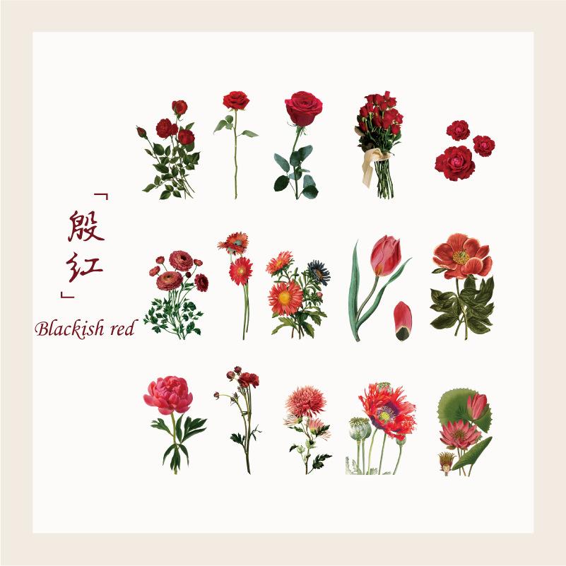 15 pcs Plant and flower PET sticker package Butterfly material sticker hand-decorated hand ledger sticker Junk Journal Supplies