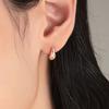 Brisa Water Flow Silver Pink Earrings TESSVP03162